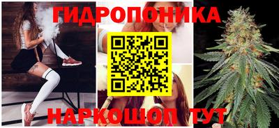 эйфоретик Малгобек