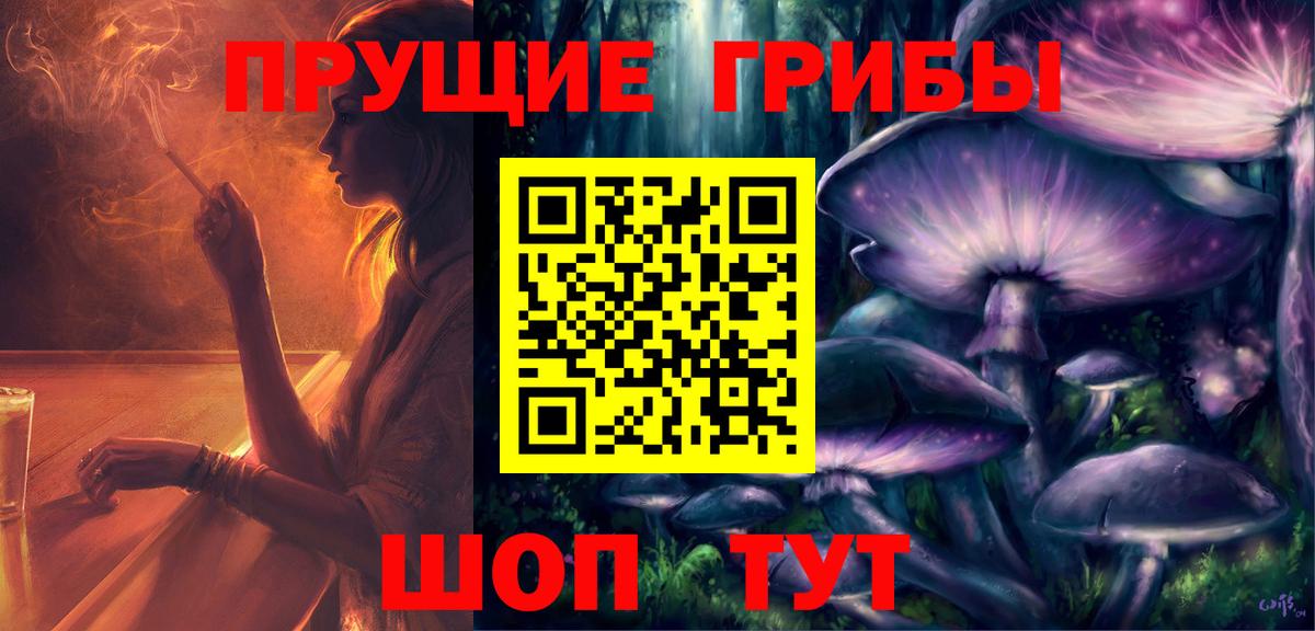 Елизово  Галлюциногенные грибы Psilocybine cubensis  Вход с VPN  Галлюциногенные грибы Psilocybe 